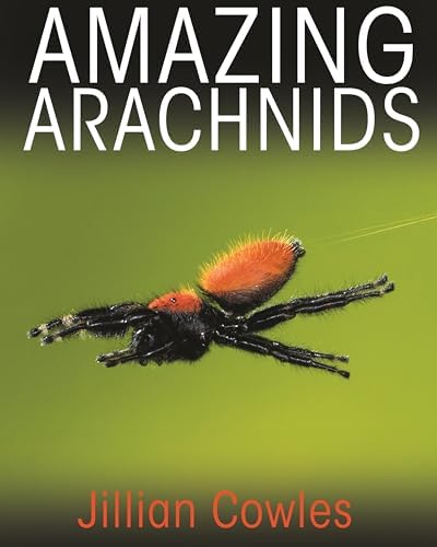Amazon.com: Biology of Spiders: 9780199734825: Foelix, Rainer: Books
